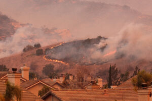 Wildfire