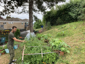 Garden organic
